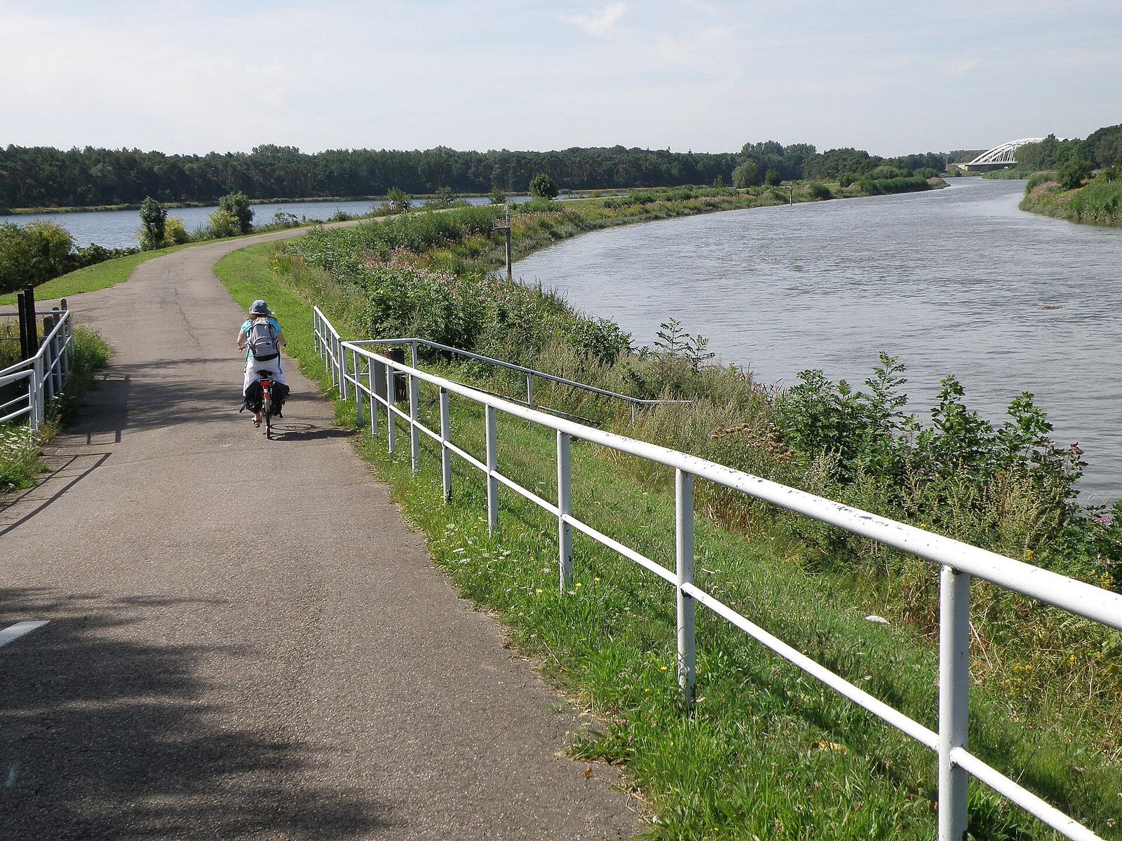 Een fietser op het jaagpad langs de Nete in Duffel, met een witte reling en een brede rivier
